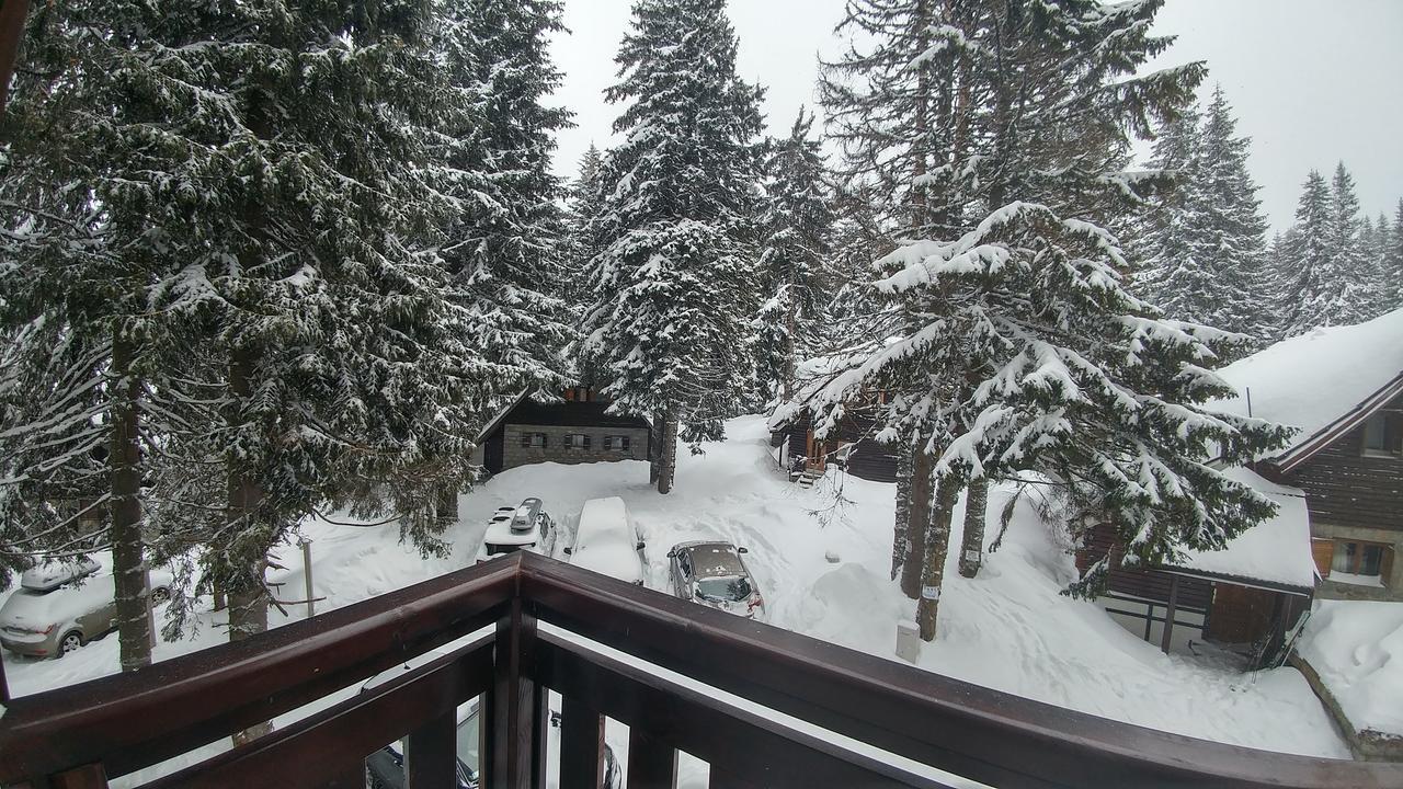 Apartments Zed Vila Zvoncica Копаоник Екстериор снимка